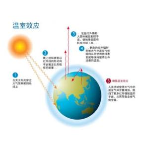 科技助力全球应对气候变化的紧迫挑战