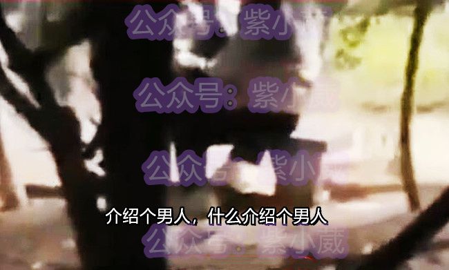 山东男子出轨后强吻女友求原谅，爱情背叛与救赎的纠葛