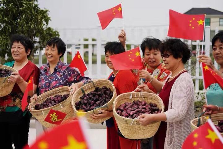 美食与音乐盛宴，一场感官交融的节庆之旅