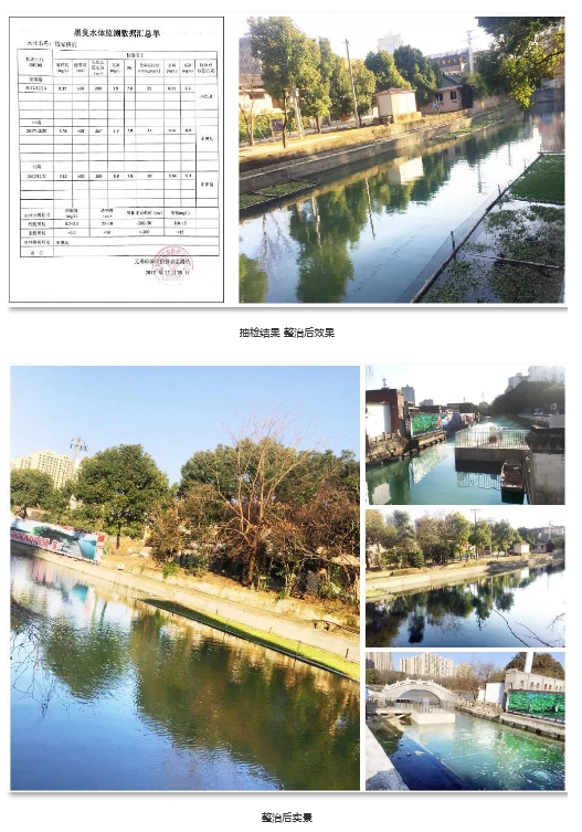 城市水体治理现状解析及成功案例探讨