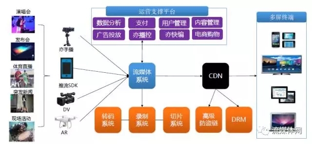 流媒体平台重塑影视传播，传统方式的革新之路