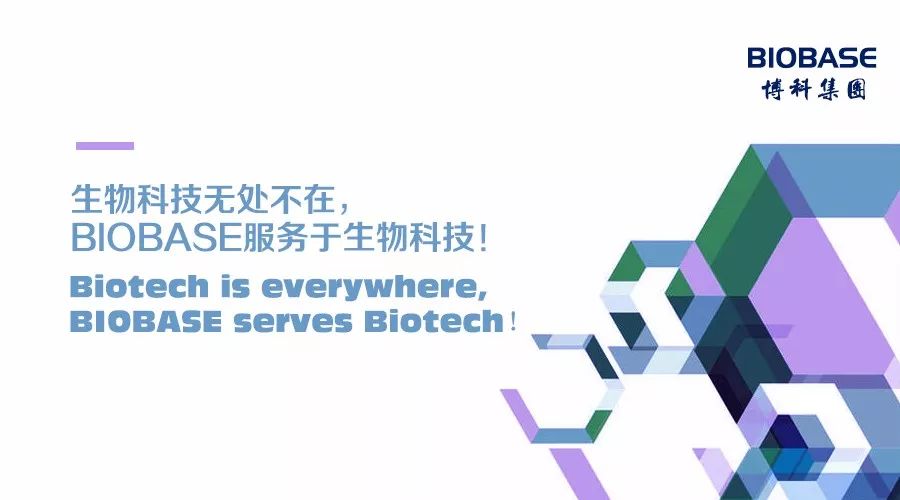 科学家关于新兴能源技术对人类社会影响的深度研究与洞察