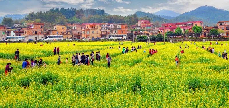 多地推行乡村游，激活农村经济新活力