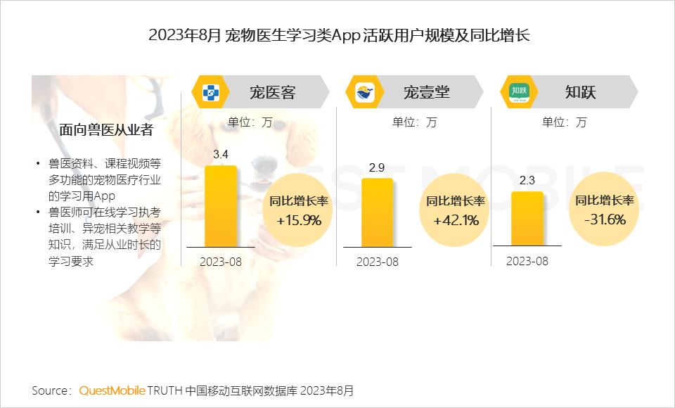 宠物保险新时代，全面覆盖医疗费用，宠物健康保障升级