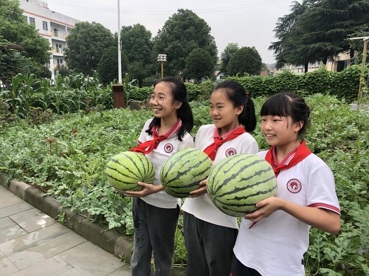 家庭教育，如何提升孩子的学业成就感