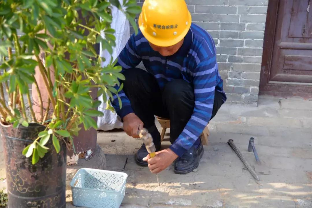 五岁孩童的植物启蒙课，孩子与植物学家的教育之旅