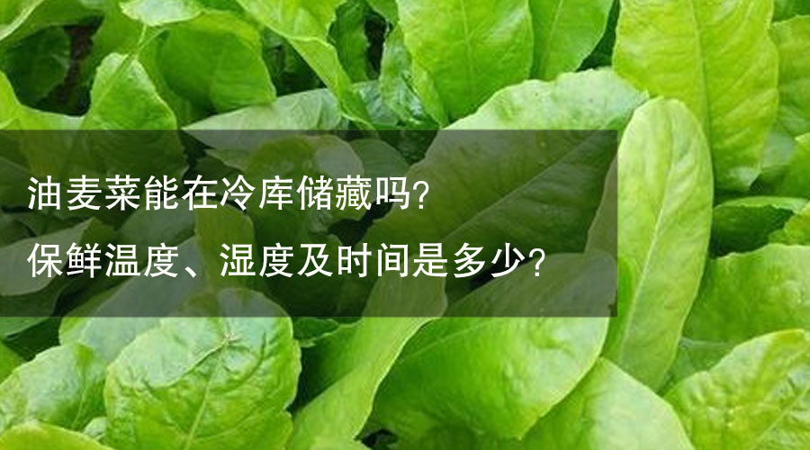 蔬菜储存最佳湿度范围指南