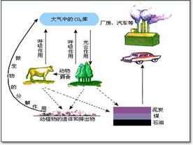 家庭生活中减少二氧化碳排放的有效方法