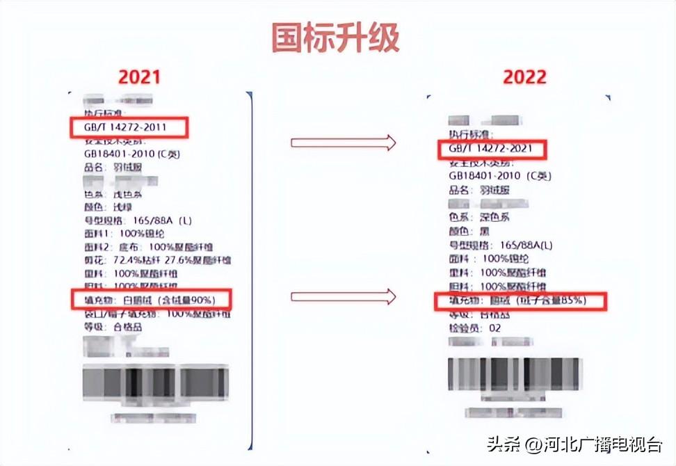 羽绒品质与价格揭秘，低于这个价格可能遭遇假羽绒陷阱