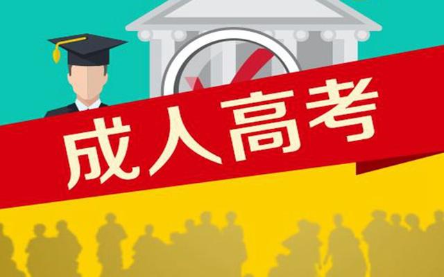 多元文化教育，提升学生解决问题能力的重要途径