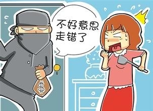 女子酒后入室盗窃，法律的公正警示与制裁