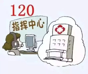 2025年1月11日 第2页