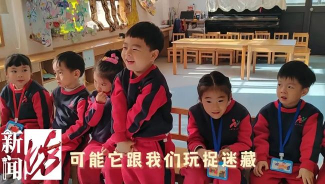 幼儿园发生玩偶熊失踪案，探究事件背后的真相